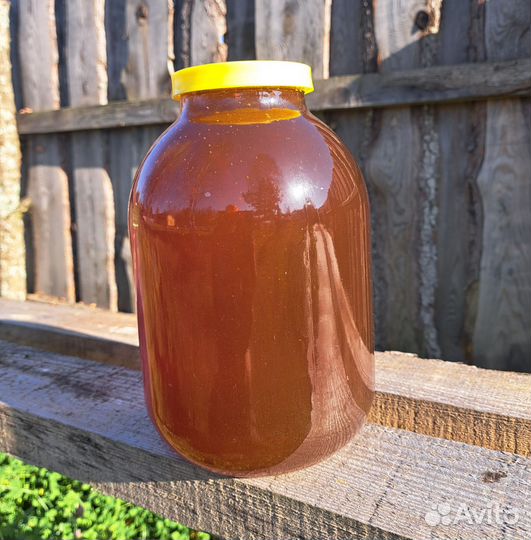 Мёд лесной урожай 2023