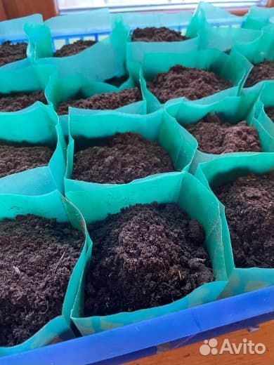 Пакеты для рассады 0,8 литра