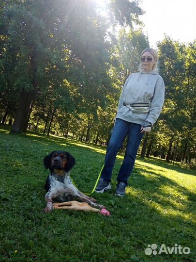 Передержка собак / кошек/ Выгул / социализация