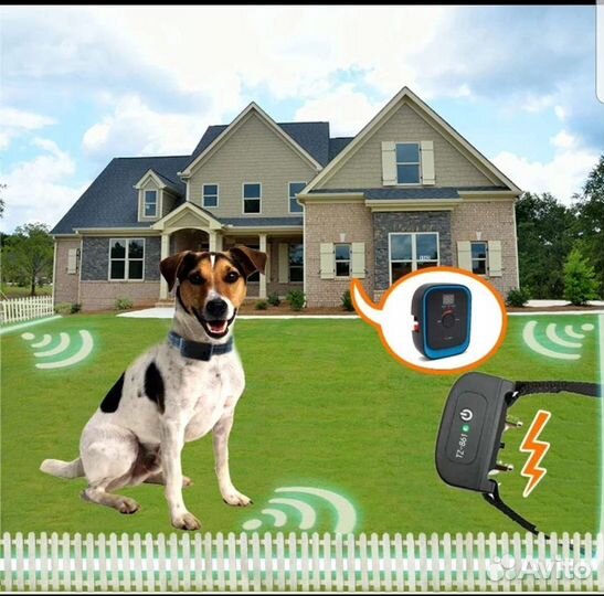 Электронный забор для собак