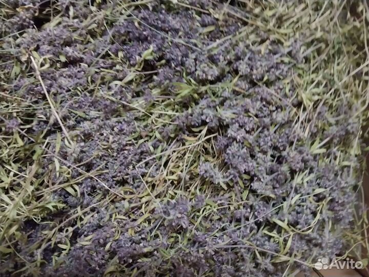 Чабрец, мята