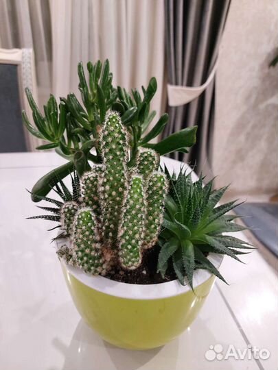 Цветочная композиция