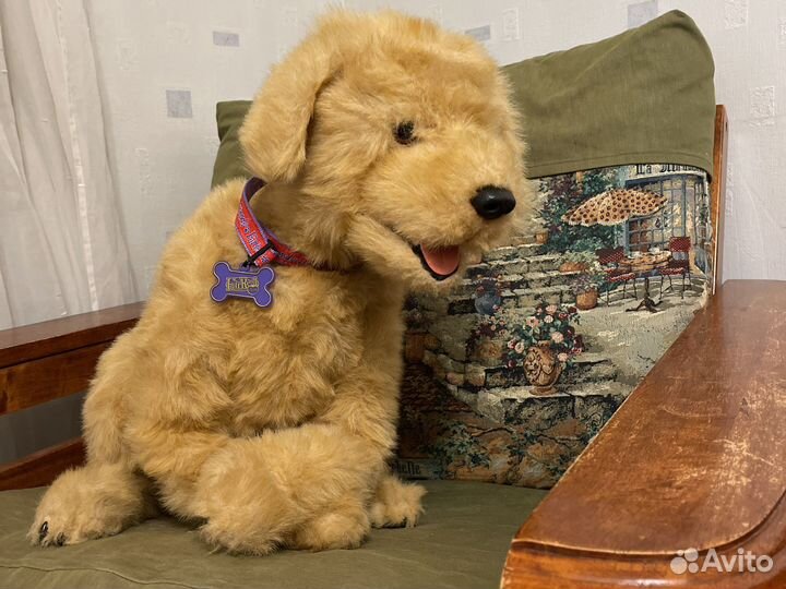 Интерактивная собака