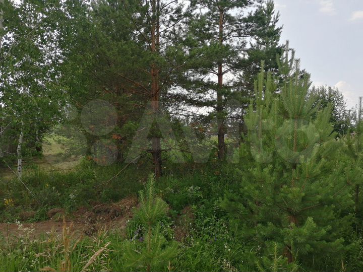 Участок 14,5 сот. (ИЖС)