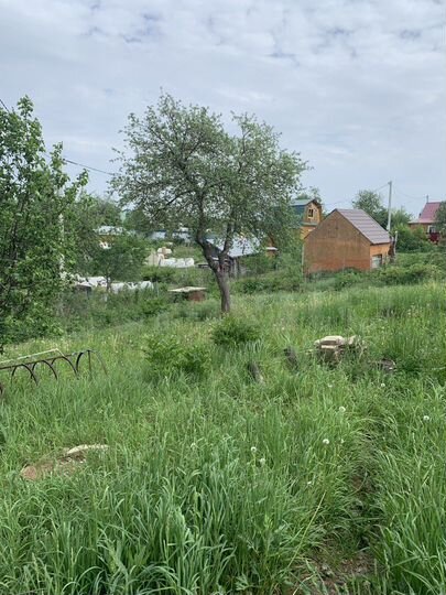 Участок 6,2 сот. (СНТ, ДНП)