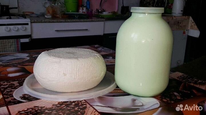 Молоко,Сыр,Сметана,чечил