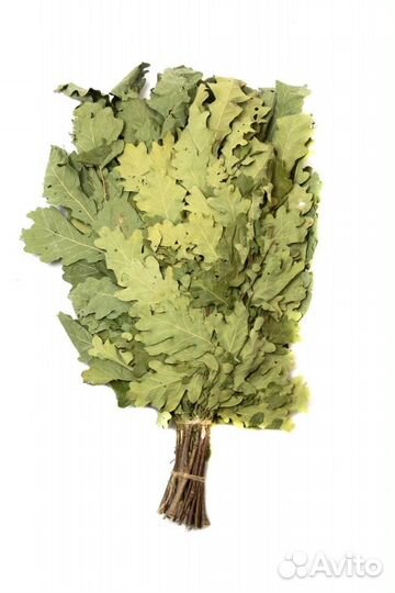 Дубовые веники для бани