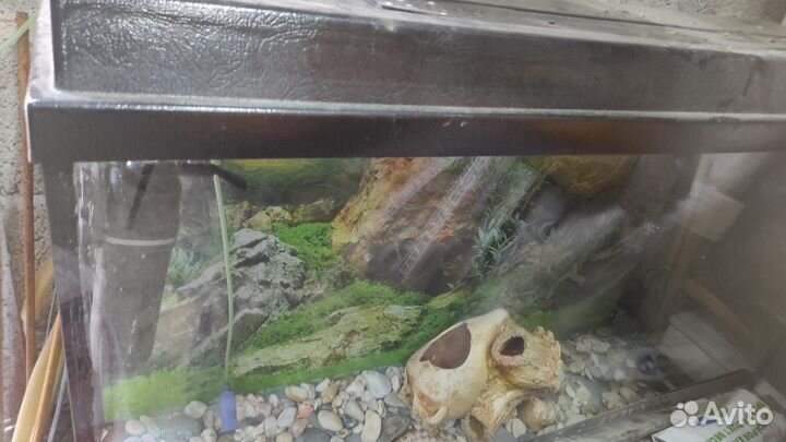 Аквариум
