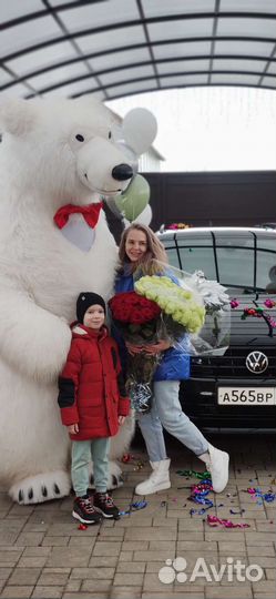 Белый Мишка поздравление с муз. сопровождением