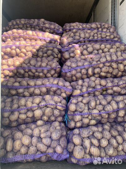 Картофель Коломбо