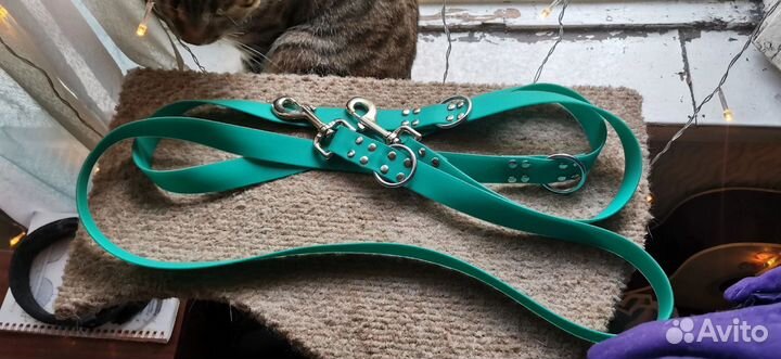 Ошейник и поводок для собак