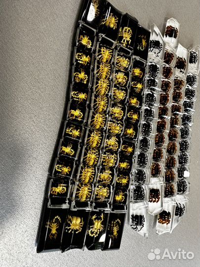 Четки перекидные ручной работы из оргстекла