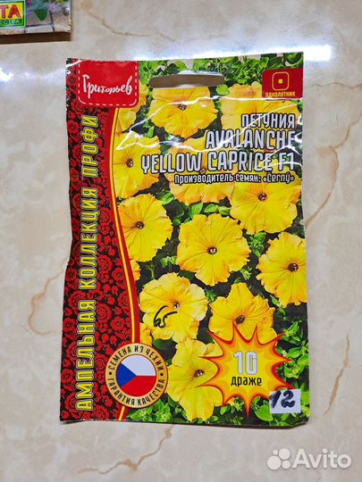 Рассада петунии