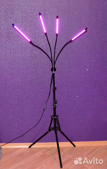 Фито лампа для растений