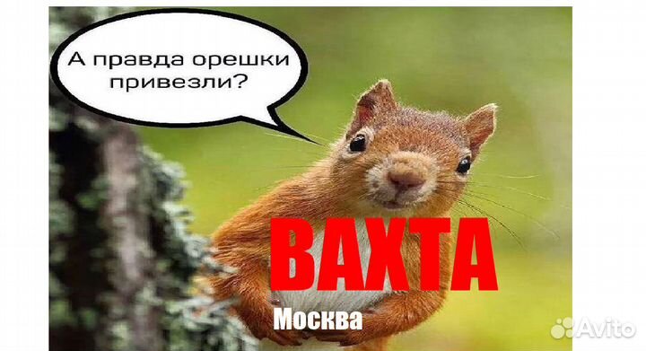 Упаковщик орехов вахта москва еда+жильё