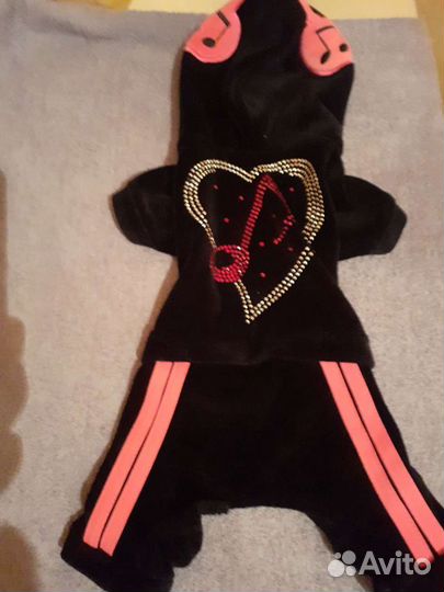 Велюровый комбинезон хлопок, для собаки мелких пор