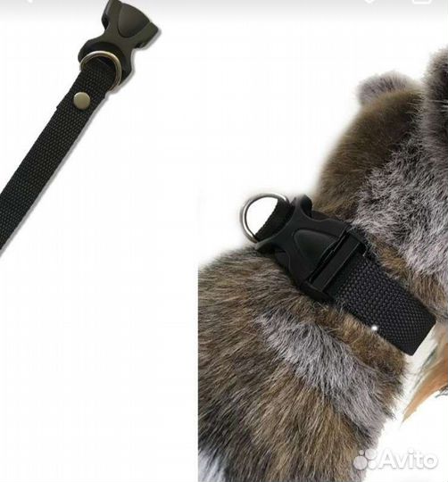 Ошейник для собак