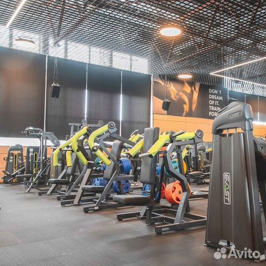 Широкий жим от груди DHZ Y910Z