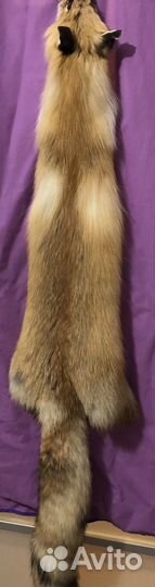 Шкура лиса