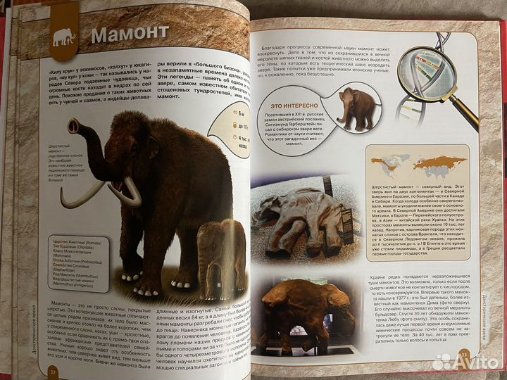 Красная книга Исчезнувшие животные земли