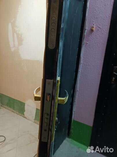 Дверь входная для тамбура