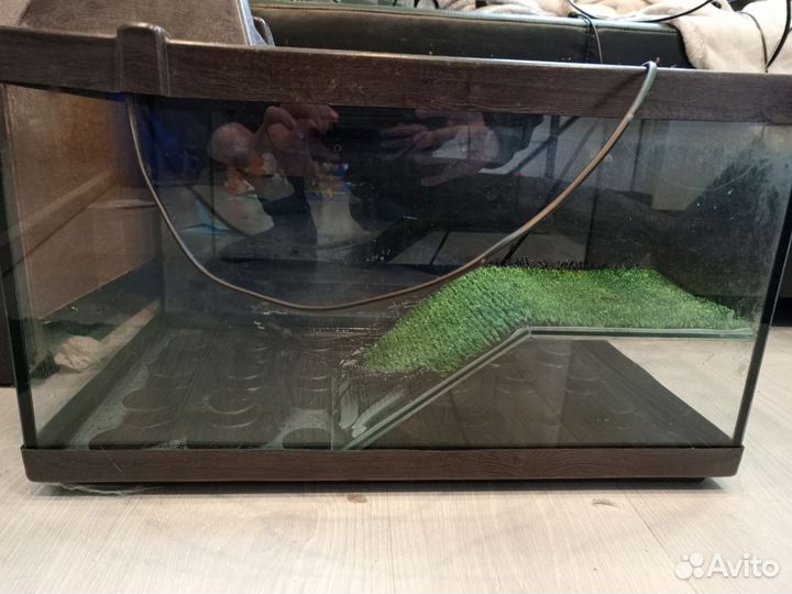 Аквариум черепашник