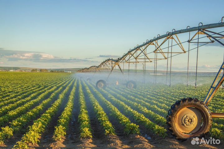 Пао Гусь Агро