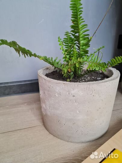 Кошпо в стили лофт