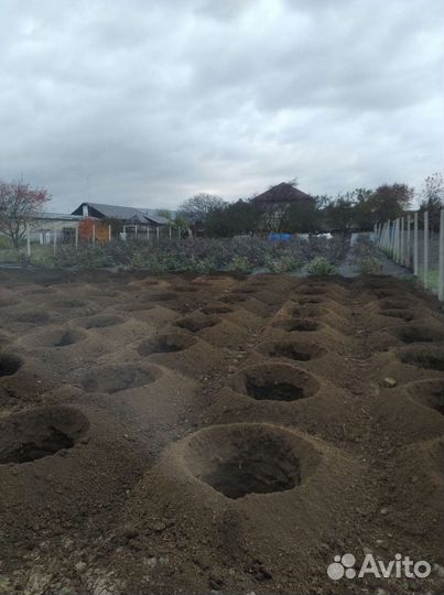 Услуги ямобура