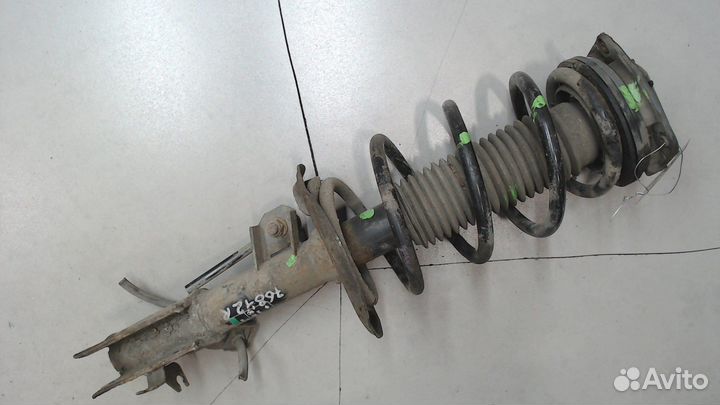 Амортизатор подвески Nissan Qashqai, 2006