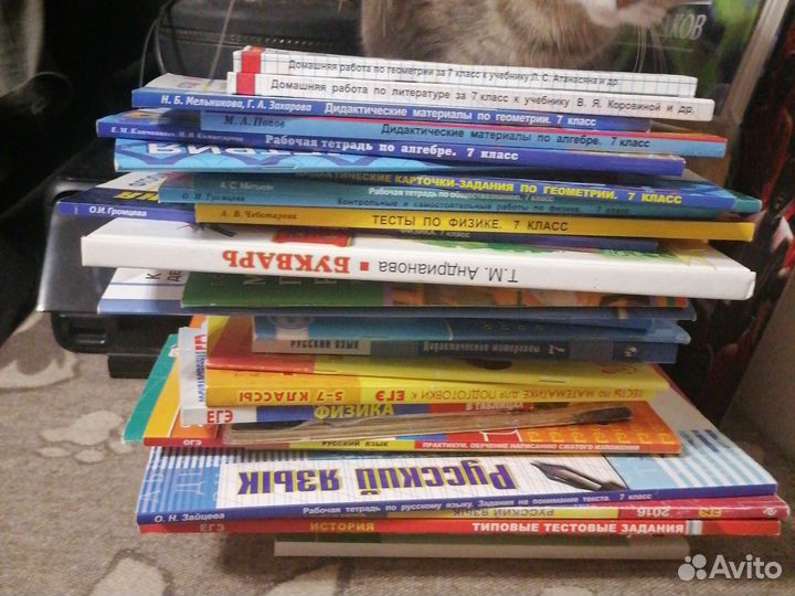 Разные тетрадки и сборники для учёбы