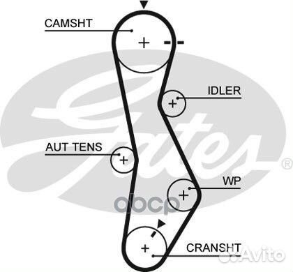 5579XS ремень грм 123x280 Hyundai Accent/Elant