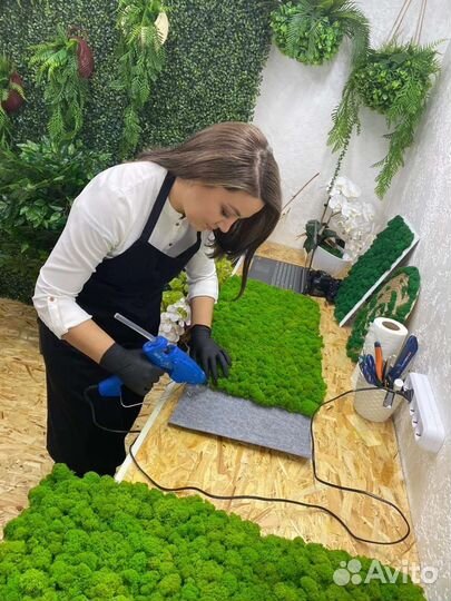 Озеленение стабилизированным мхом