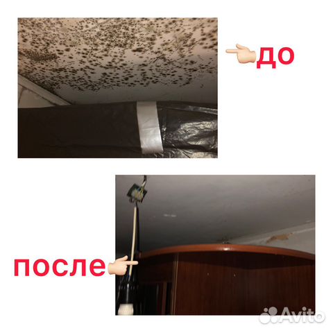 Уничтожение плесени удаление обработка от плесени