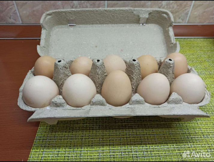 Домашние куриные яйца