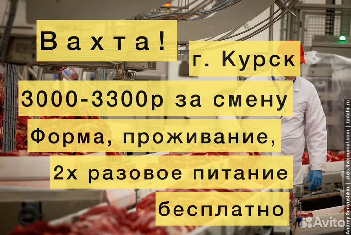 Разнорабочие вахта в г.Курск всё включено