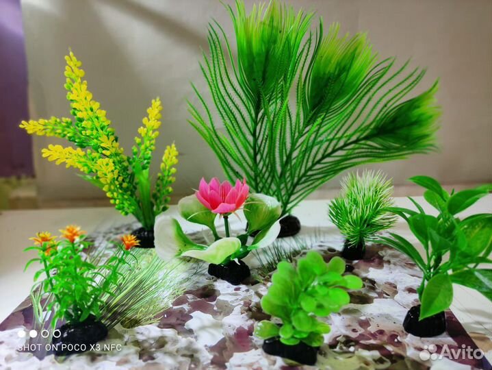 Аквариум, рыбки, растения, декорации