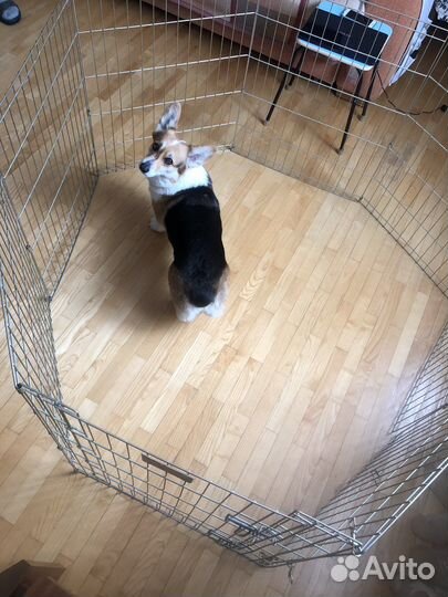 Вольер для собак домашний