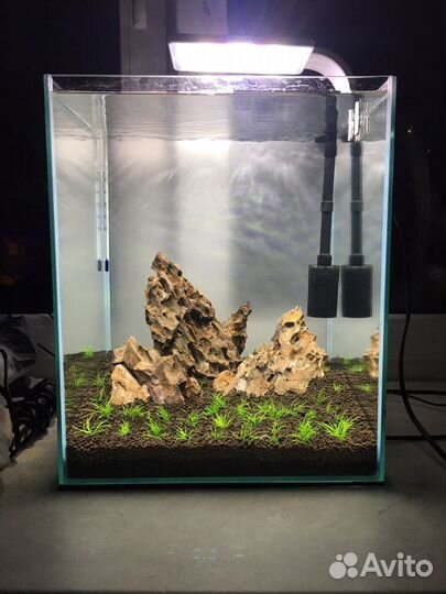 Чистка. Обслуживание. Запуск. Перезапуск. Аквариум