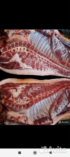 Мясо свинина домашняя