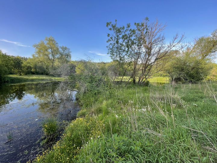 Участок 20,24 га (ИЖС)