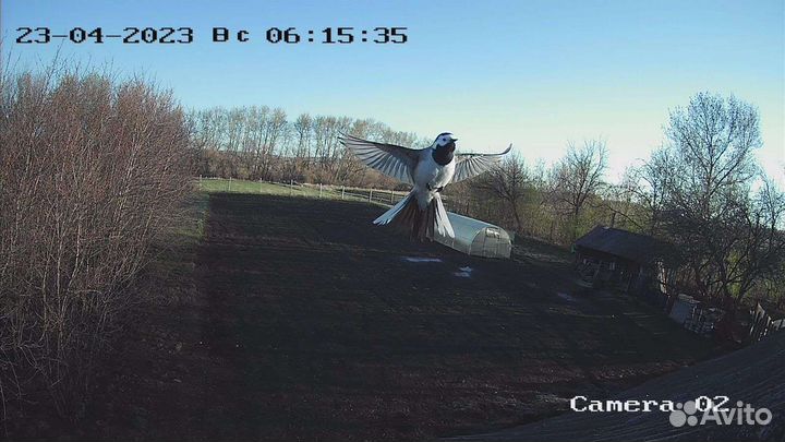 Видеонаблюдение