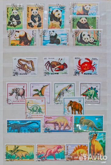 Марки почтовые иностранные, гашенные фауна