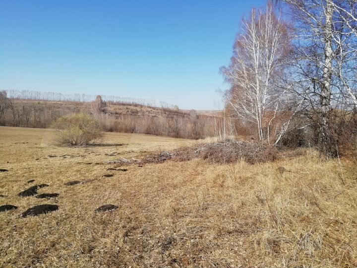 Участок 5 га (СНТ, ДНП)