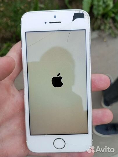 Телефон iPhone 5s
