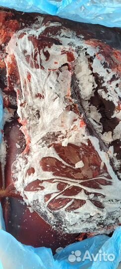 Печень говяжья замороженная мясо для собак