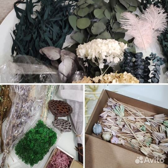 Сухоцветы и материалы для букетов (остатки)