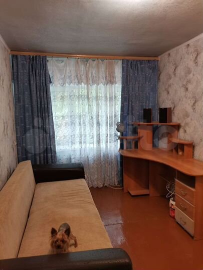 2-к. квартира, 42 м², 1/5 эт.