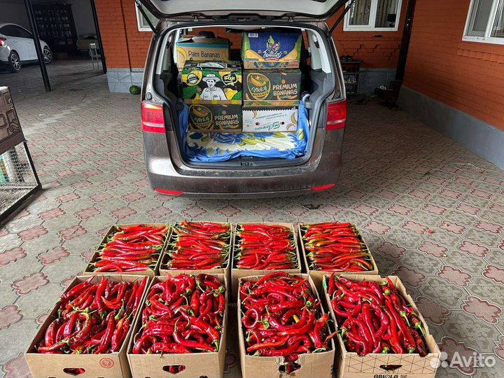 Горький перец