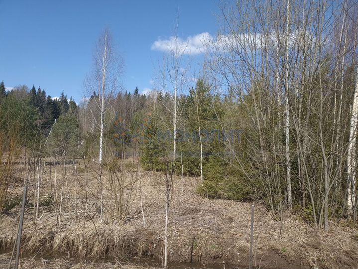 Участок 10 сот. (ИЖС)